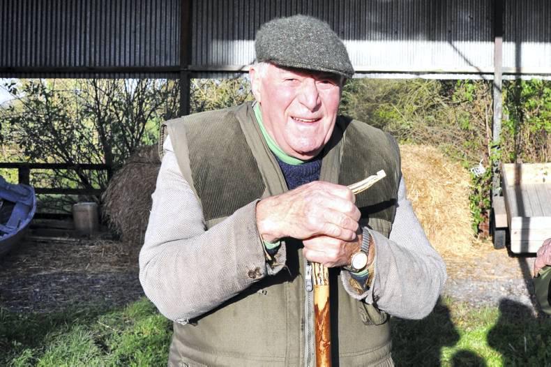 Mourning Two Irish Equestrian Giants Premium