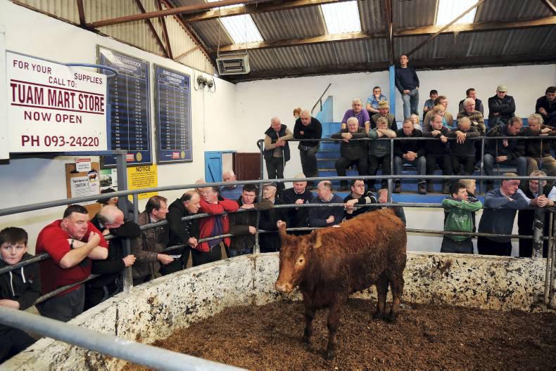 Quiz How much did these cattle sell for in Galway? 30 November 0001 Free