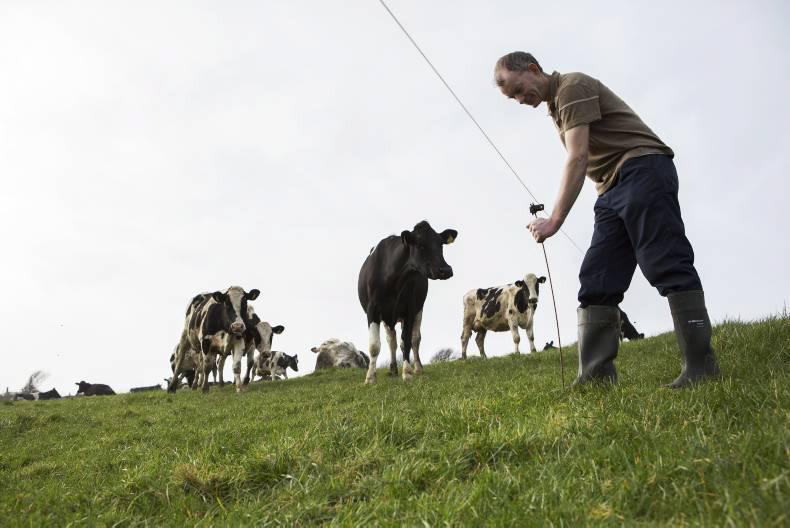 Farmer writes: Inspector leaves no stone unturned Farmer writes: Inspector leaves no stone unturned