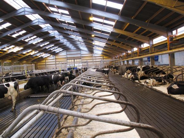 IFA dairy seminars show farmers are focussed on solving challenges to growth
IFA dairy seminars show farmers are focussed on solving challenges to growth