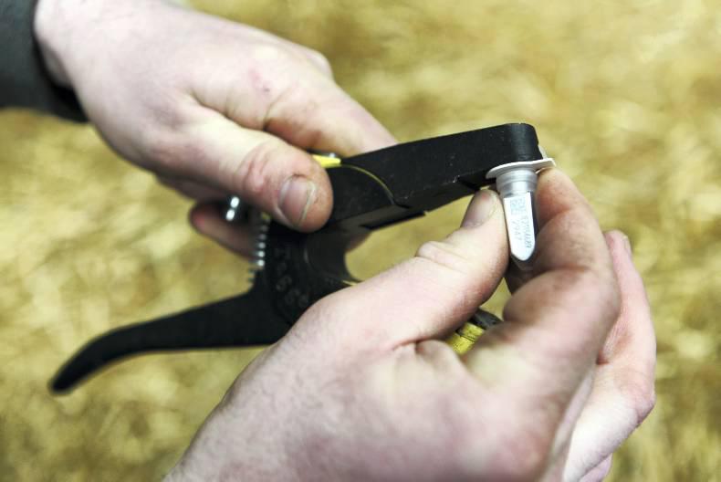 BVD name-and-shame from the Department BVD name-and-shame from the Department