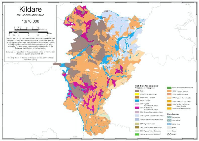 Co Kildare: Home to the largest remaining fen Co Kildare: Home to the largest remaining fen