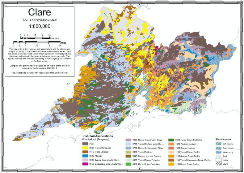 Co Clare: Extensive assemblage of flora and fauna Co Clare: Extensive assemblage of flora and fauna