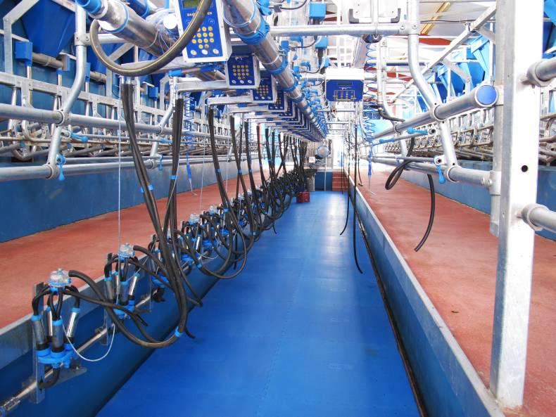 Aurivo claims February top spot Aurivo claims February top spot