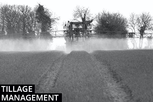 Good week enabled growth and remaining work to be done Good week enabled growth and remaining work to be done