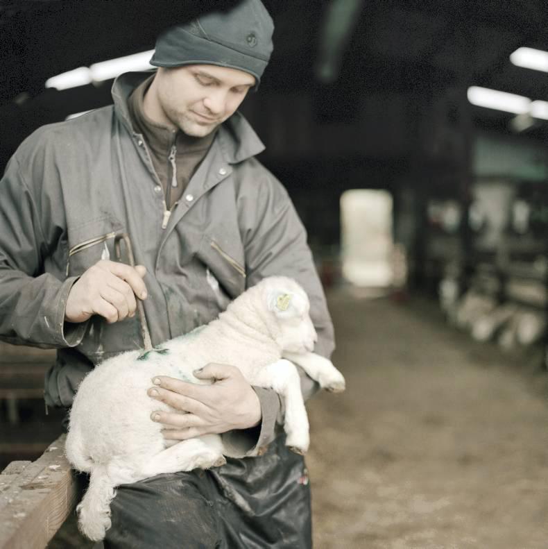 Business as usual this April at Waterfall farm Business as usual this April at Waterfall farm