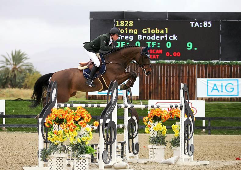 Going Global only bright spark in grim Belgium Nations Cup effort Going Global only bright spark in grim Belgium Nations Cup effort
