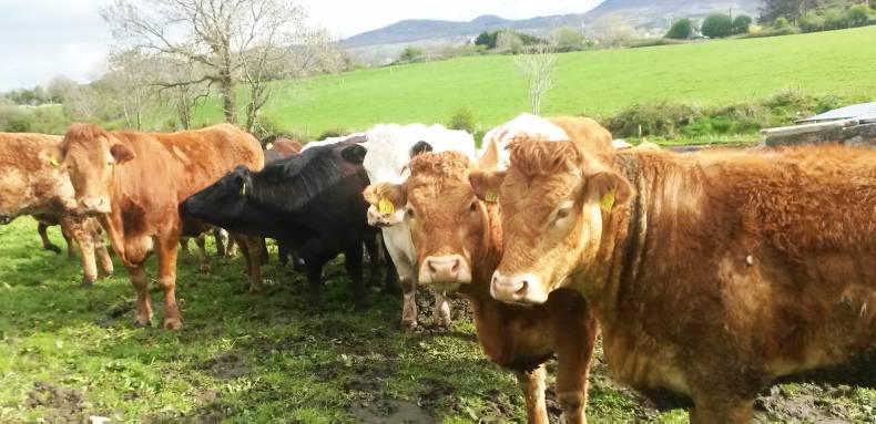 Farmer writes: New schemes and their challenges
Farmer writes: New schemes and their challenges