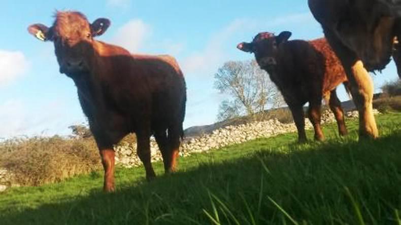 Farmer writes: New schemes and their challenges
Farmer writes: New schemes and their challenges