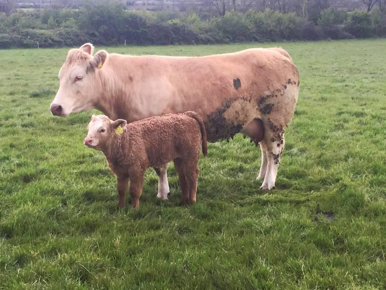 Farmer writes: The irony of weather stories and useful technology Farmer writes: The irony of weather stories and useful technology