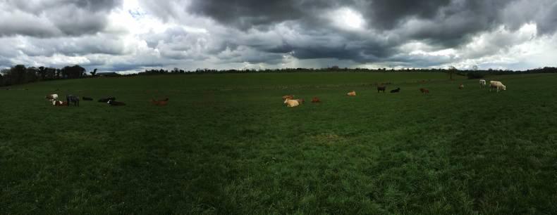 Farmer writes: The irony of weather stories and useful technology Farmer writes: The irony of weather stories and useful technology