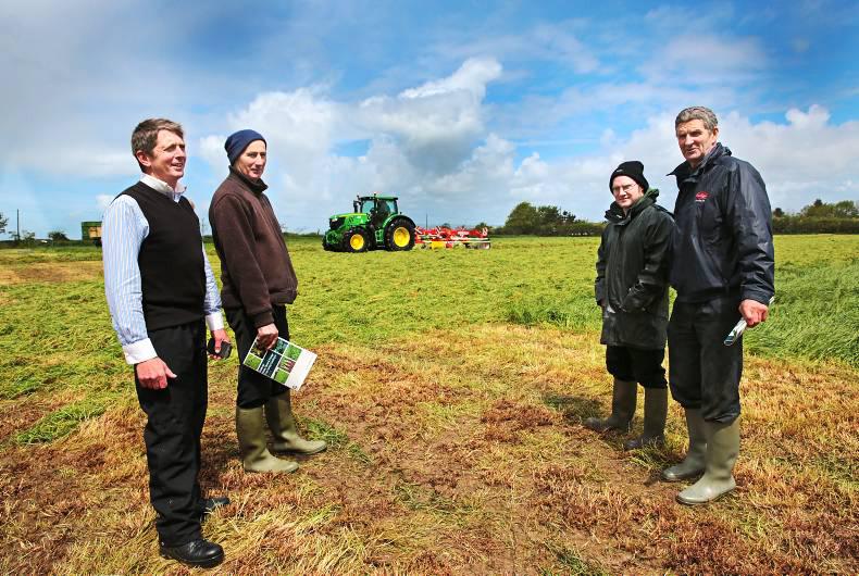 Top tips for high-quality silage in Kerry Top tips for high-quality silage in Kerry