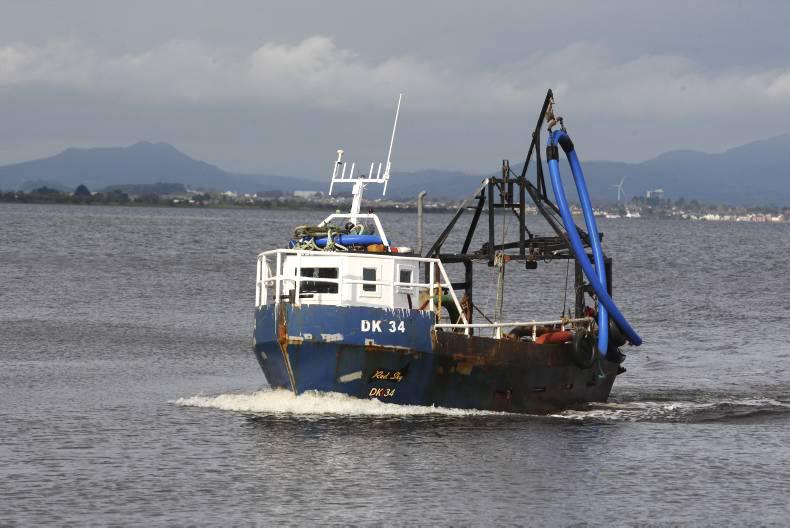 Coveney welcomes proposed ban on fishing for seabass in Irish waters Coveney welcomes proposed ban on fishing for seabass in Irish waters