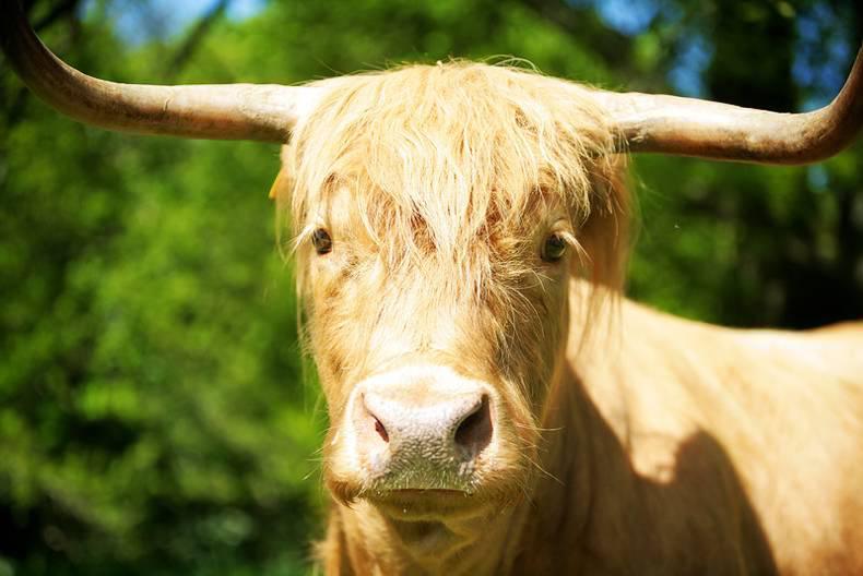 Advertorial: Destination Ireland Advertorial: Destination Ireland