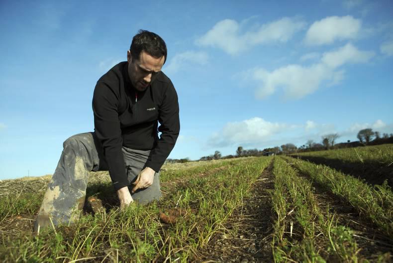 Farmer writes: Consumers won't pay extra for organic Farmer writes: Consumers won't pay extra for organic