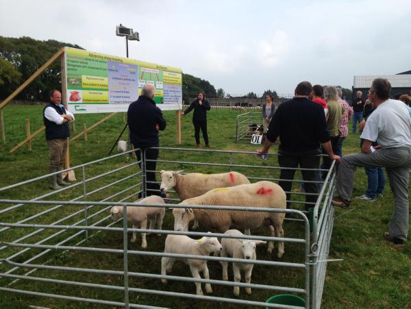Exhibitor entries encouraged at Sheep 2015 launch Exhibitor entries encouraged at Sheep 2015 launch