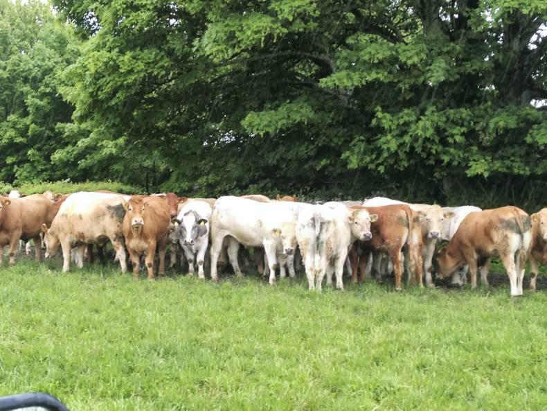 Farmer Writes: Still a long road to the harvest Farmer Writes: Still a long road to the harvest