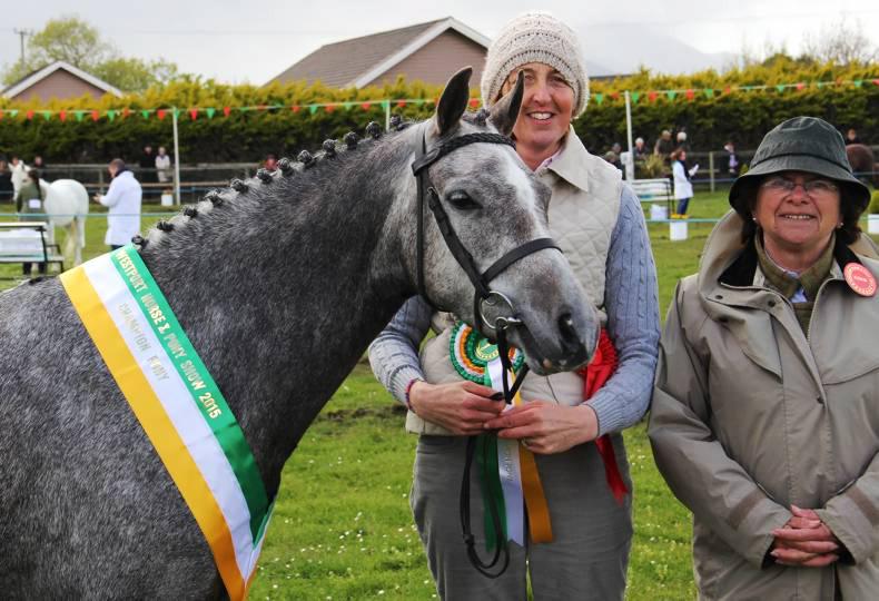 Murphy Double At Westport Murphy Double At Westport