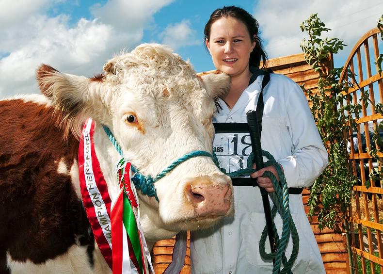 Diary of a work experience student: A great time with Irish Hereford Prime Diary of a work experience student: A great time with Irish Hereford Prime