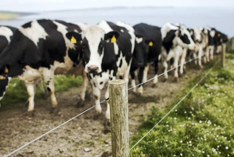 Agricultural jobs in Ireland and abroad - 30 November -0001 Free