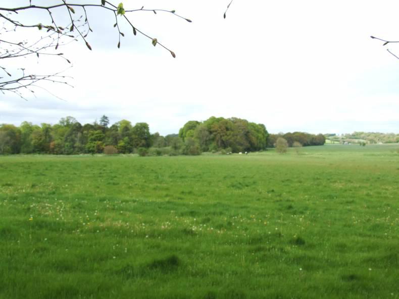 End of an era at Warrenstown College End of an era at Warrenstown College