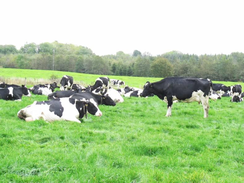 €15 million cut from May milk €15 million cut from May milk