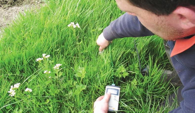 Dairy Know-How: Big months for managing grass quality and quantity Dairy Know-How: Big months for managing grass quality and quantity