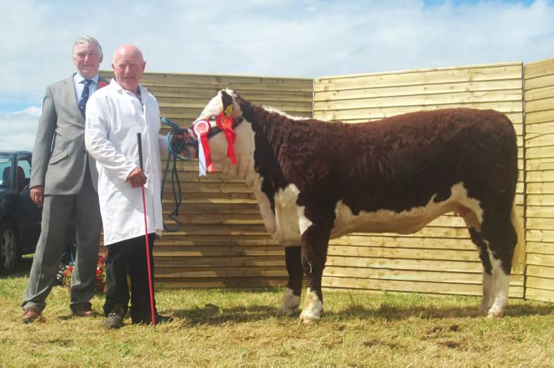 Tremendous show of cattle in Longford Tremendous show of cattle in Longford