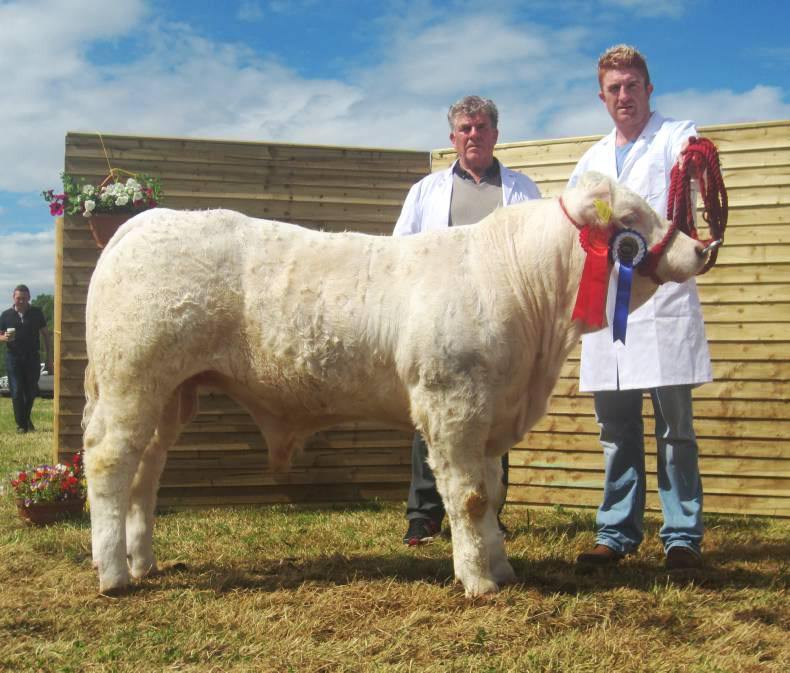 Tremendous show of cattle in Longford Tremendous show of cattle in Longford