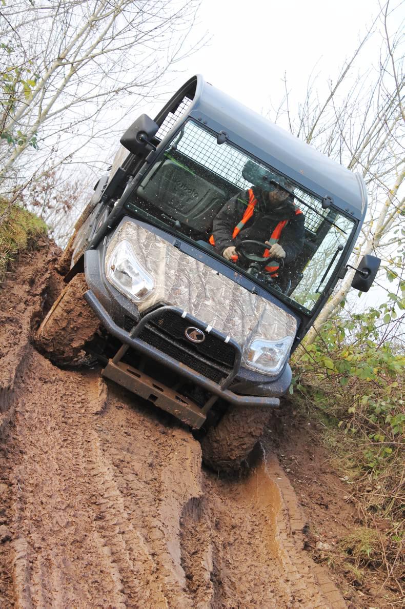 Tackling weeds this summer with options from Quad-X Tackling weeds this summer with options from Quad-X