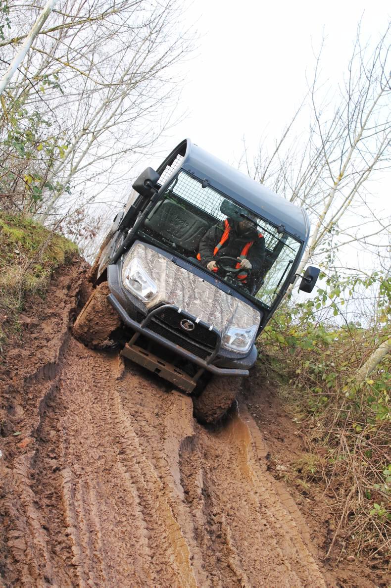 Tackling weeds this summer with options from Quad-X Tackling weeds this summer with options from Quad-X