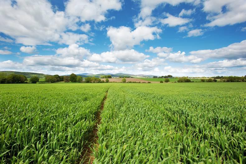 207 acres of prized land in West Waterford 207 acres of prized land in West Waterford