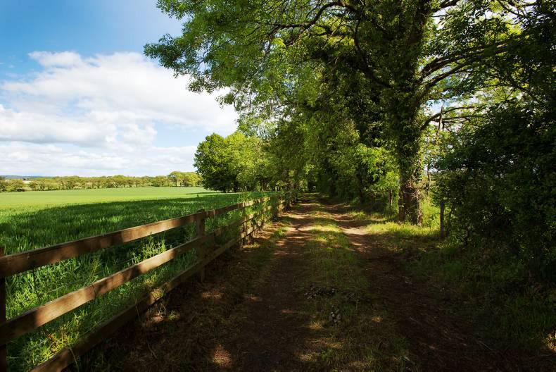 207 acres of prized land in West Waterford 207 acres of prized land in West Waterford