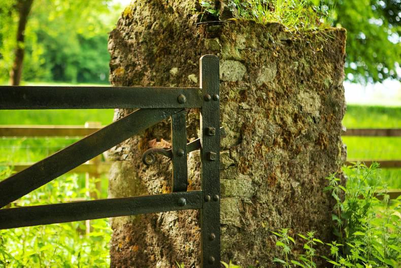 207 acres of prized land in West Waterford 207 acres of prized land in West Waterford