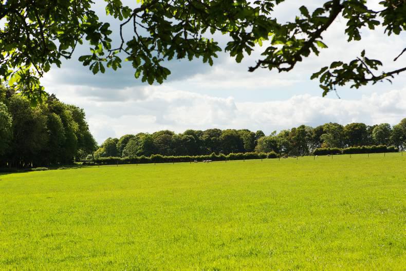 207 acres of prized land in West Waterford 207 acres of prized land in West Waterford
