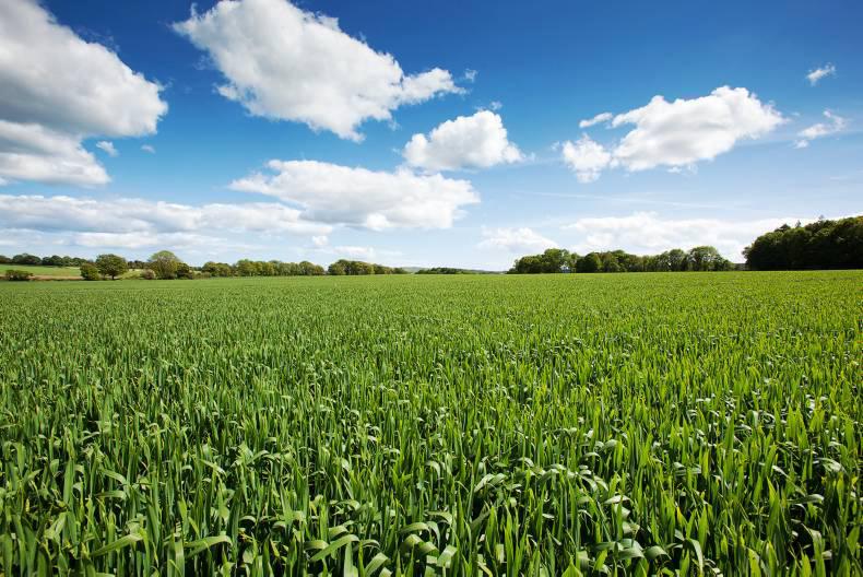 207 acres of prized land in West Waterford 207 acres of prized land in West Waterford