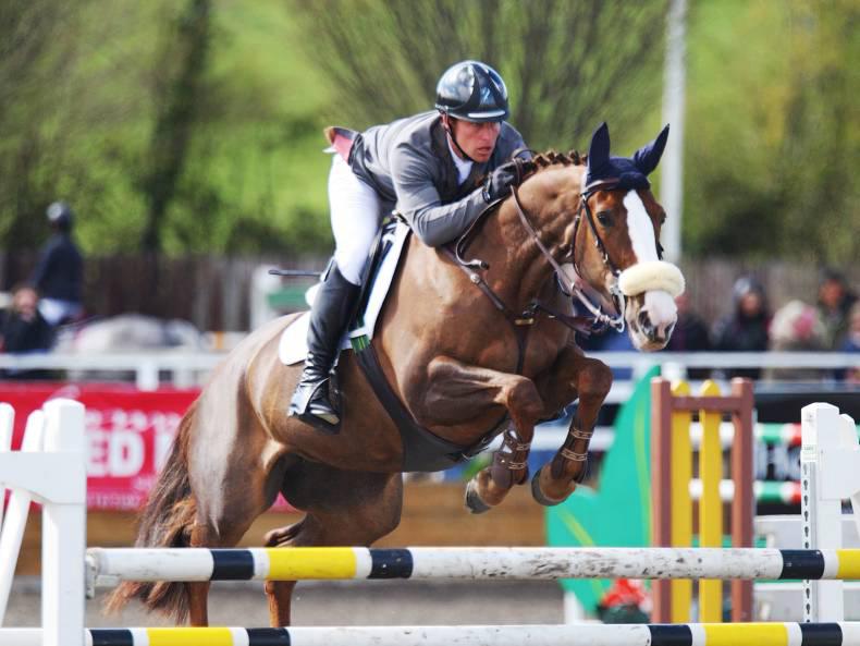 The Irish Horse: Top of the leaderboard for Walker and Cushions The Irish Horse: Top of the leaderboard for Walker and Cushions