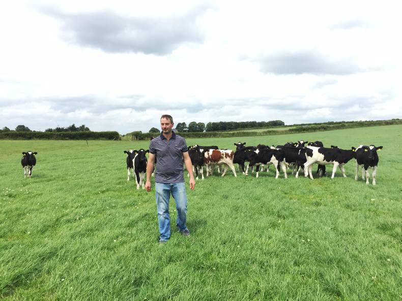 Dairy management: Docks, lameness and yard work Dairy management: Docks, lameness and yard work