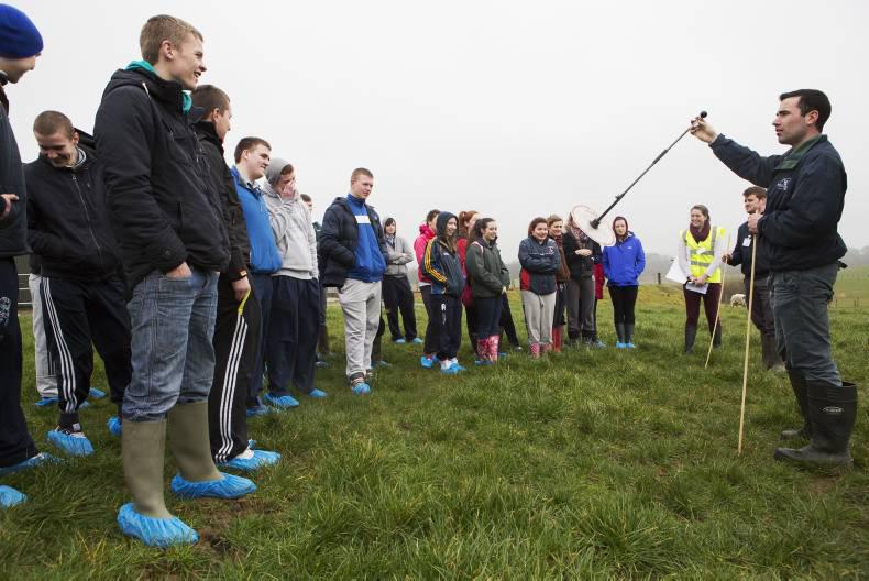 4,000 looking for Green Cert places 4,000 looking for Green Cert places