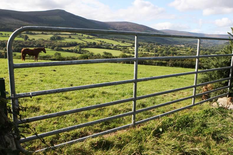 Department rejects scheme proposals for 'forgotten farmers' Department rejects scheme proposals for 'forgotten farmers'