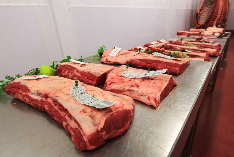 Cattle numbers down across UK and Ireland Cattle numbers down across UK and Ireland