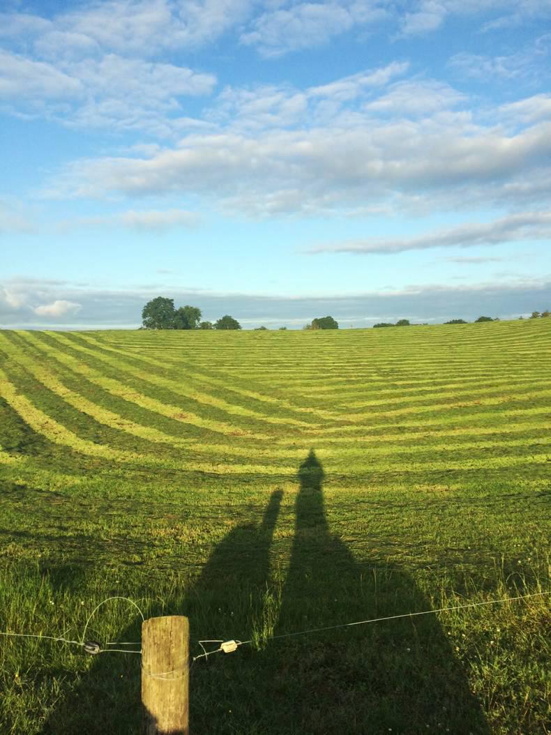 Super growth rates on Cavan dairy farm Super growth rates on Cavan dairy farm