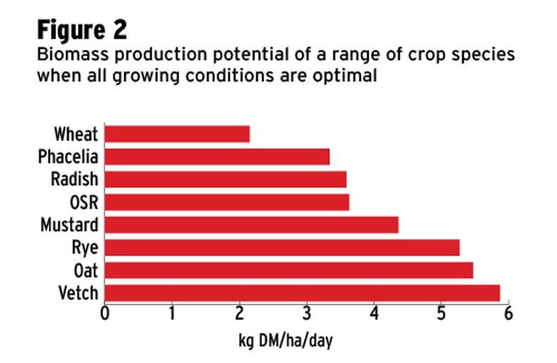 More to catch crops than just species 29 July 2015 Premium