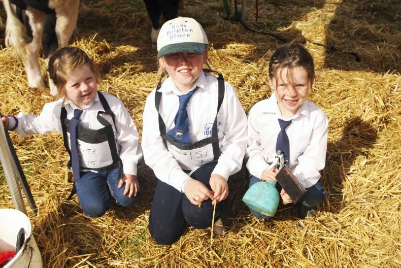 A showcase for young handlers A showcase for young handlers