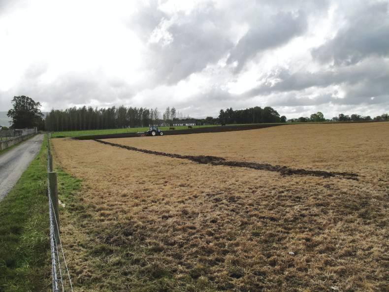 Interim Nitrogen and Phosphorus statements available online Interim Nitrogen and Phosphorus statements available online