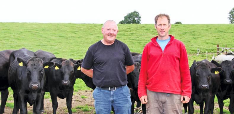 From farm to fork in Wexford From farm to fork in Wexford