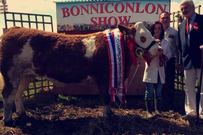 Baileys Ice Princess crowned interbreed champion in Bonniconlon Baileys Ice Princess crowned interbreed champion in Bonniconlon