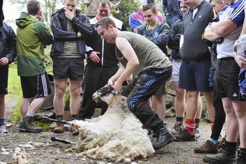 Rose of Tralee Escorts Rose of Tralee Escorts