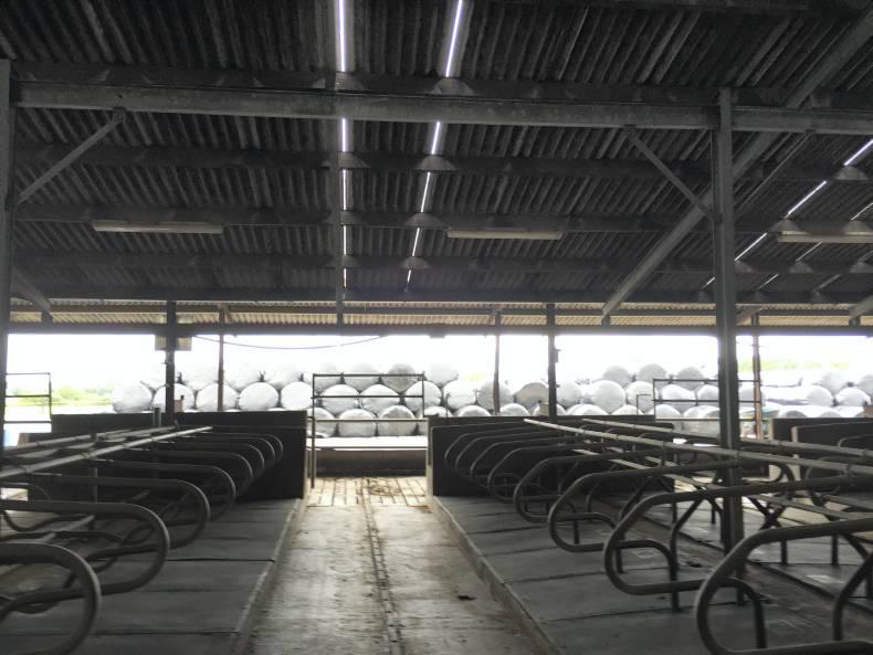 Focus: Where to now for the CellCheck programme? Focus: Where to now for the CellCheck programme?