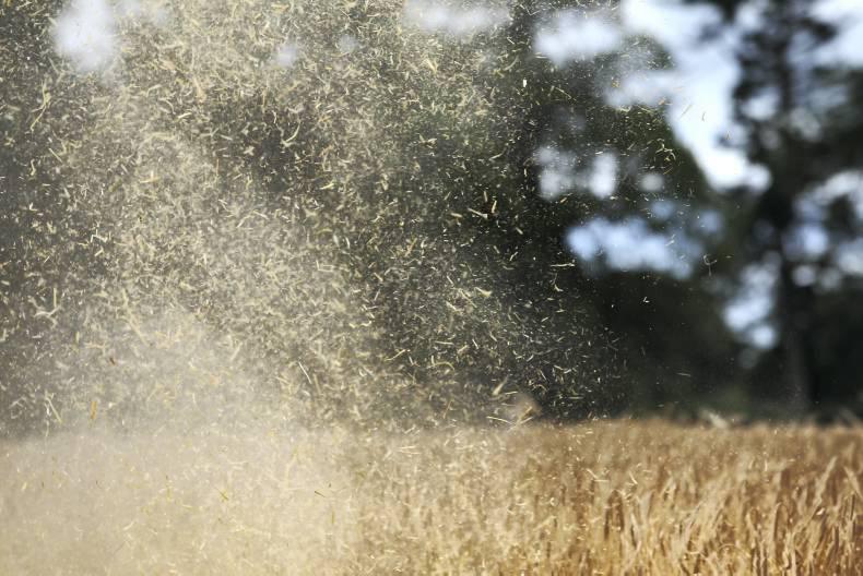 Harvest in full swing and yields appear to be holding good Harvest in full swing and yields appear to be holding good